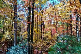 135 Teaberry Trail, Beech Mountain, NC 28604 - Photo 45
