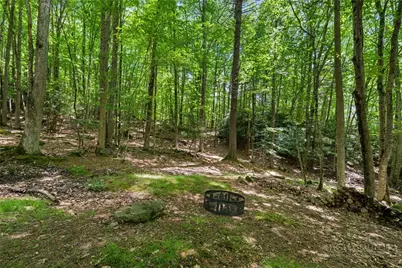 135 Teaberry Trail, Beech Mountain, NC 28604 - Photo 39