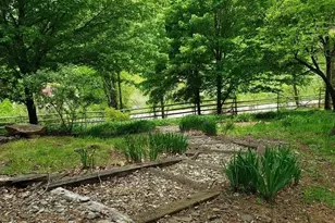 853 Cox Rd, Jefferson, NC 28640 - Photo 15
