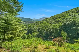 381 Yellow Bear Rd, Todd, NC 28684 - Photo 43