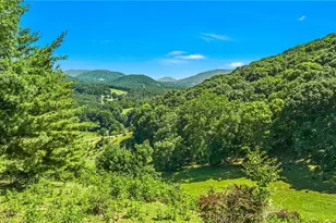 381 Yellow Bear Rd, Todd, NC 28684 - Photo 3
