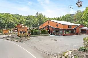 1003 Beech Mountain Pkwy, Beech Mountain, NC 28604 - Photo 5