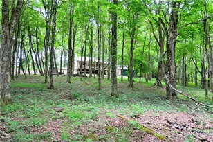463 Fairview Church Rd, Lansing, NC 28643 - Photo 41