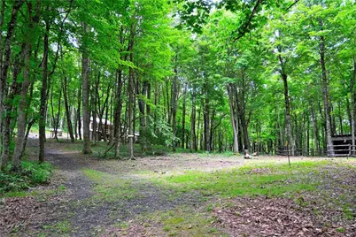 463 Fairview Church Road, Lansing, NC 28643 - Photo 45