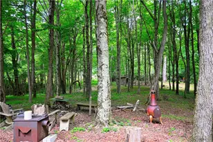 463 Fairview Church Rd, Lansing, NC 28643 - Photo 5