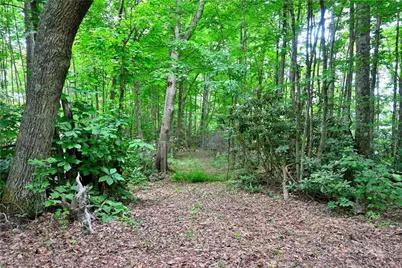 463 Fairview Church Road, Lansing, NC 28643 - Photo 43