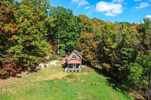 1260 Quillen Ridge Rd, Mouth of Wilson, VA 24363 - Photo 3
