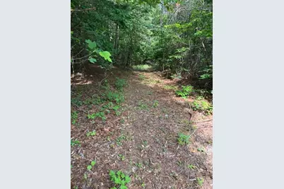79 Elk Horn Road, Ferguson, NC 28624 - Photo 1