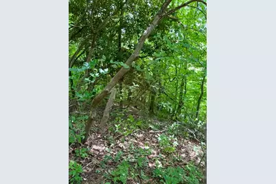 Lot 19 Clear Waters Edge Estate, Creston, NC 28615 - Photo 5