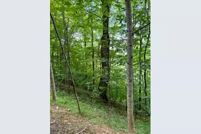 Lot 19 Clear Waters Edge Estate, Creston, NC 28615 - Photo 19