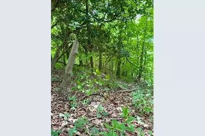 Lot 19 Clear Waters Edge Estate, Creston, NC 28615 - Photo 9