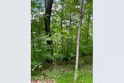 Lot 19 Clear Waters Edge Estate, Creston, NC 28615 - Photo 11