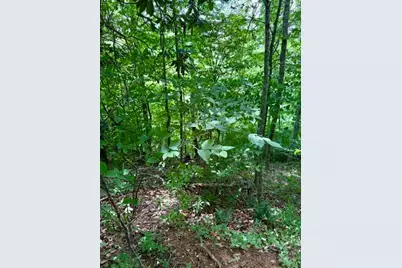Lot 19 Clear Waters Edge Estate, Creston, NC 28615 - Photo 7