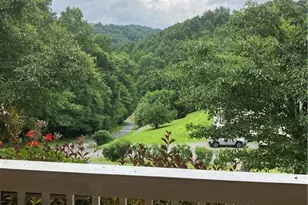 634 Roy E Brown Rd, Vilas, NC 28692 - Photo 3