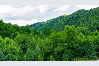 Tbd-7 Big Laurel Road, Creston, NC 28615 - Photo 13