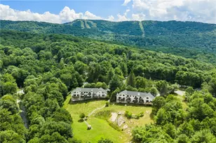102 Spring Branch Rd, Beech Mountain, NC 28604 - Photo 3