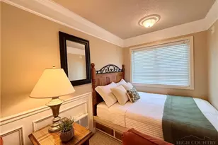 301 Pinnacle Inn Rd, Beech Mountain, NC 28604 - Photo 5