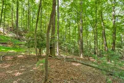Lots Er 11-14 Powder Horn Mountain Rd Road, Deep Gap, NC 28618 - Photo 15