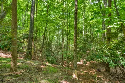Lots Er 11-14 Powder Horn Mountain Rd Road, Deep Gap, NC 28618 - Photo 17