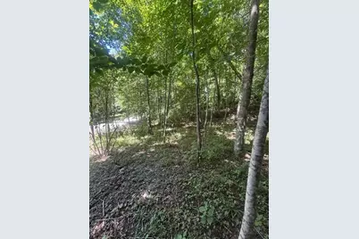 Tbd Lot 37B Shady Valley Drive, West Jefferson, NC 28694 - Photo 5