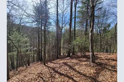 Tbd (Lot 72) Creekside Meadows Drive, Fleetwood, NC 28626 - Photo 1