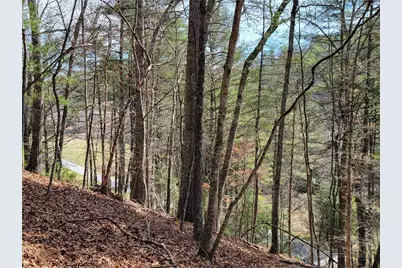 Tbd (Lot 72) Creekside Meadows Drive, Fleetwood, NC 28626 - Photo 3