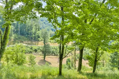 Lot 3 Horseshoe Trail, Lansing, NC 28643 - Photo 13