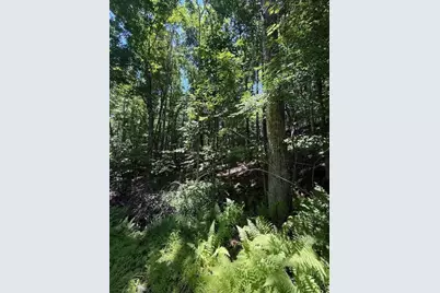 Tbd Lot 30 High Meadows Court, Fleetwood, NC 28626 - Photo 3
