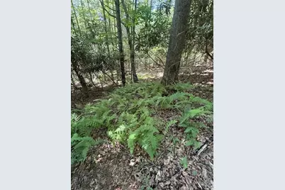 Tbd Lot 20 High Meadows Lane, Fleetwood, NC 28626 - Photo 1