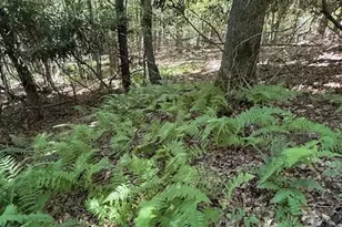 Tbd Lot 20 High Meadows Ln, Fleetwood, NC 28626 - Photo 1