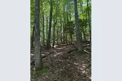 Tbd Lot 20 High Meadows Lane, Fleetwood, NC 28626 - Photo 7