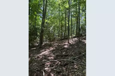 Tbd Lot 20 High Meadows Lane, Fleetwood, NC 28626 - Photo 5