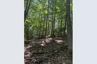 Tbd Lot 20 High Meadows Lane, Fleetwood, NC 28626 - Photo 3