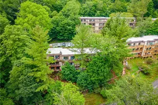 103 Mid Holiday Ln, Beech Mountain, NC 28604 - Photo 33