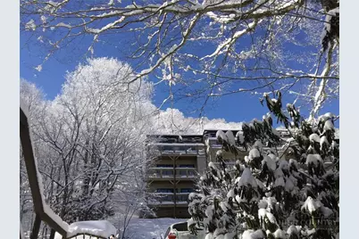 103 Mid Holiday Lane #D214, Beech Mountain, NC 28604 - Photo 41