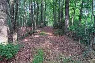 190 Wagon Ridge Ln, Ferguson, NC 28624 - Photo 15