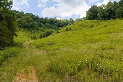 V/L Slabtown Road, Zionville, NC 28607 - Photo 11