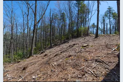 84 Wilderness Reserve Parkway, Deep Gap, NC 28618 - Photo 9