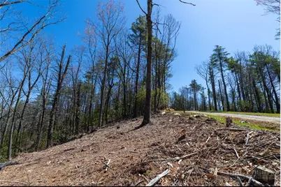 84 Wilderness Reserve Parkway, Deep Gap, NC 28618 - Photo 7