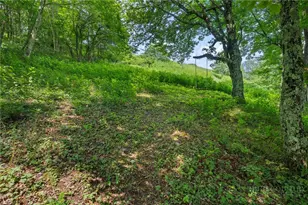 185 Harper Trail, Boone, NC 28607 - Photo 45