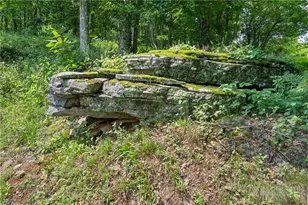 185 Harper Trail, Boone, NC 28607 - Photo 41