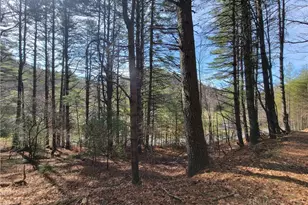 Tbd (Lot 73) Creekside Meadows Dr, Fleetwood, NC 28626 - Photo 1