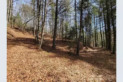 Tbd (Lot 73) Creekside Meadows Drive, Fleetwood, NC 28626 - Photo 3