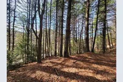 Tbd (Lot 73) Creekside Meadows Drive, Fleetwood, NC 28626 - Photo 5