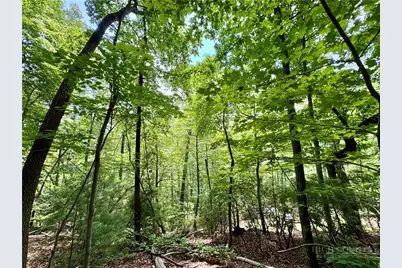 35 Acres Lot 23 Bear Track Lane, Lenoir, NC 28645 - Photo 1