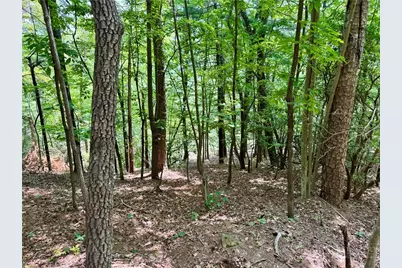 35 Acres Lot 23 Bear Track Lane, Lenoir, NC 28645 - Photo 5