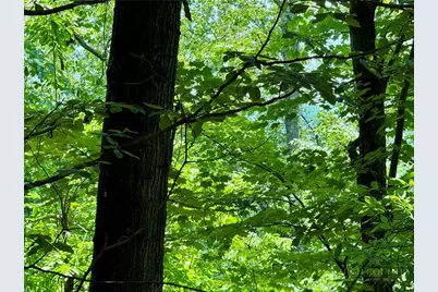 35 Acres Lot 23 Bear Track Lane, Lenoir, NC 28645 - Photo 5