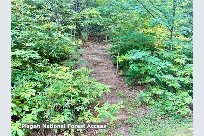 35 Acres Lot 23 Bear Track Lane, Lenoir, NC 28645 - Photo 13