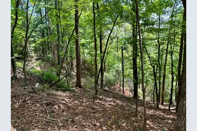 35 Acres Lot 23 Bear Track Lane, Lenoir, NC 28645 - Photo 7