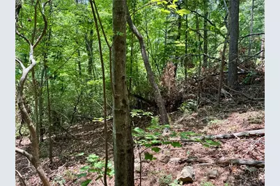 35 Acres Lot 23 Bear Track Lane, Lenoir, NC 28645 - Photo 7